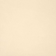 Напольная плитка Casalgrande Padana Unicolore Technic Naturale Bianco A 9